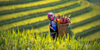 Vietnam