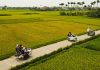 Vietnam - Hoi An - Sidecar Sojourn - Organic Rice Farm Adventure