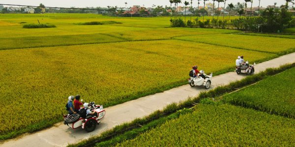 Vietnam - Hoi An - Sidecar Sojourn - Organic Rice Farm Adventure