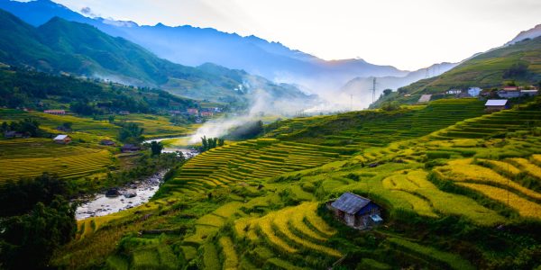 Images of SAPA Tours - SAPA Tours - Lao Chai to Ta Van trek